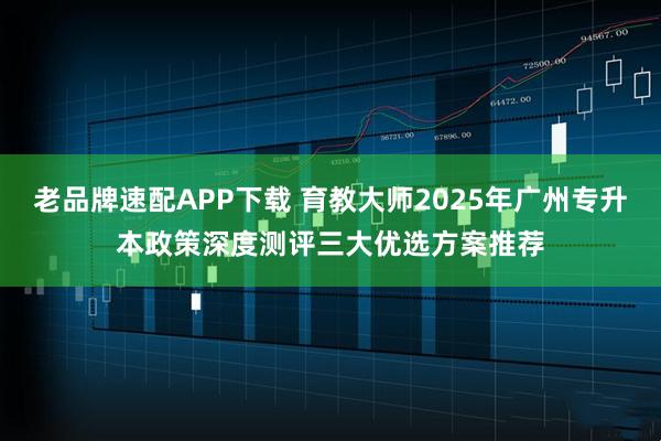 老品牌速配APP下载 育教大师2025年广州专升本政策深度测评三大优选方案推荐