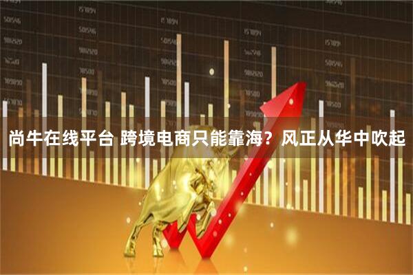尚牛在线平台 跨境电商只能靠海?风正从华中吹起