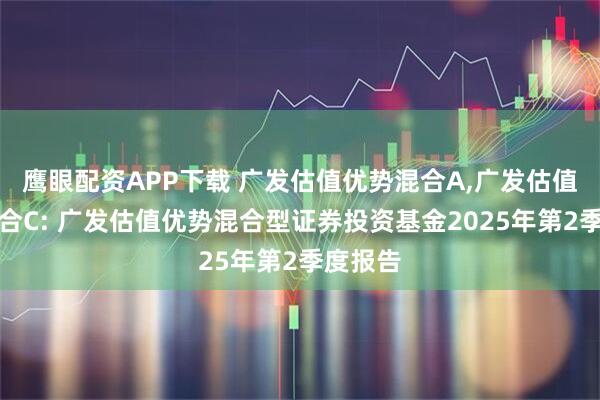 鹰眼配资APP下载 广发估值优势混合A,广发估值优势混合C: 广发估值优势混合型证券投资基金2025年第2季度报告