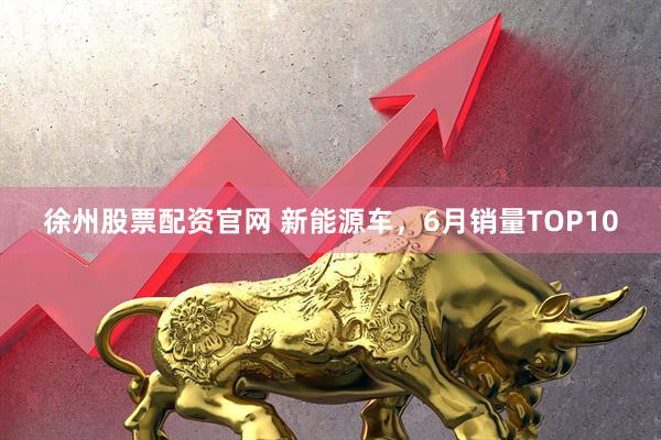 徐州股票配资官网 新能源车，6月销量TOP10